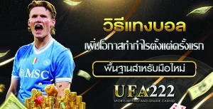 วิธีแทงบอล